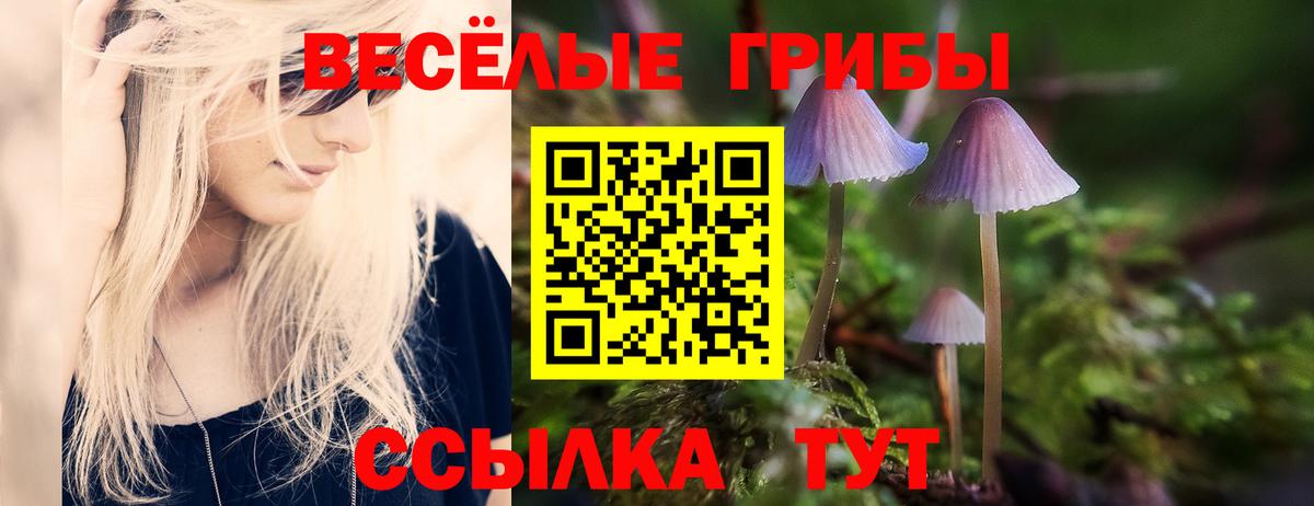 Псилоцибиновые грибы Cubensis  Вход с VPN  Псилоцибиновые грибы мухоморы  Новороссийск 